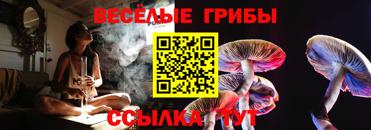Галлюциногенные грибы MAGIC MUSHROOMS  Галлюциногенные грибы GOLDEN TEACHER  Вход с VPN  Ржев 